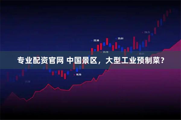 专业配资官网 中国景区，大型工业预制菜？