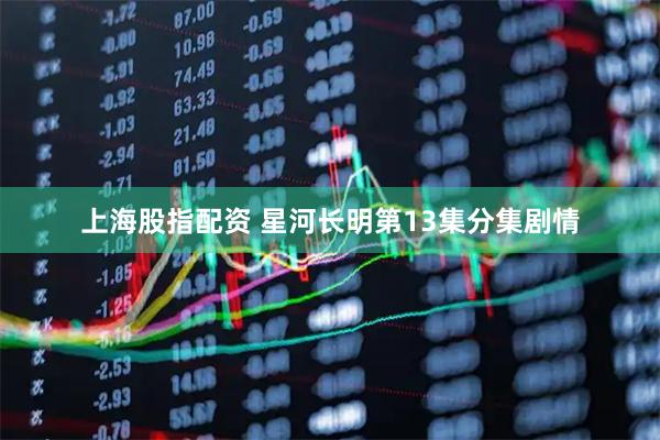 上海股指配资 星河长明第13集分集剧情